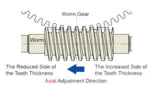 Dual Lead Worm Gear